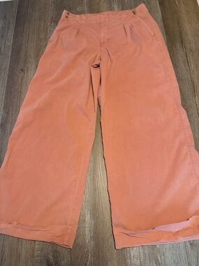 American Eagle Outfitters Coral Wide-Leg Kids Pants